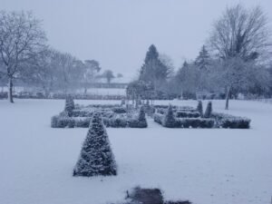 277761614_954561265227194_6718560380757588529_n