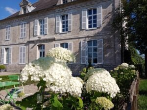 IMG_20250630_175059198